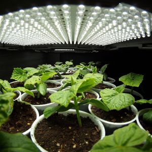  LED Plant Lights