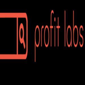 Profit Labs SEO and PPC Management Services - Based in New York, NYC