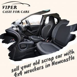 Viper Cash for Car
