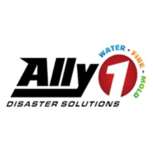 Ally1 Disaster Solutions