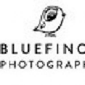 bluefinchphotograph