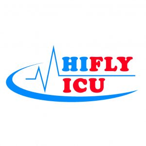 Hifly ICU Air Ambulance Services