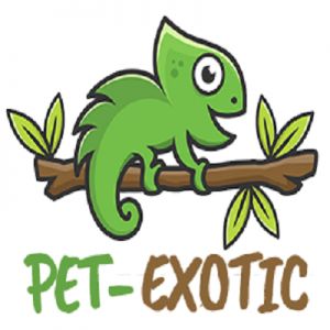 Pet Exotic