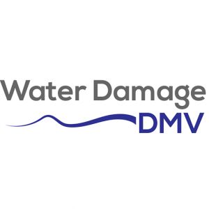 Water Damage DMV