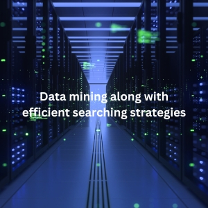 Data Mining along with efficient searching strategies