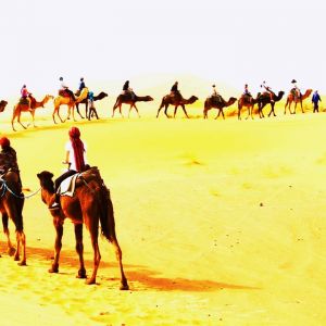 Sahara Holiday Tours