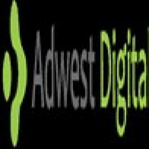 Adwest Digital Pvt Ltd 