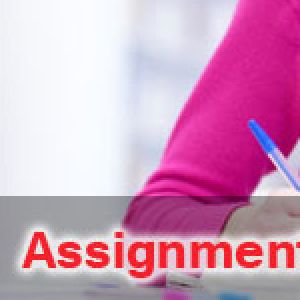 Assignment Help Firm