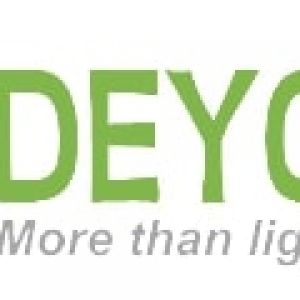 Deyoung Holding Group Limited