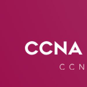 CCNA Dumps 2024 PDF