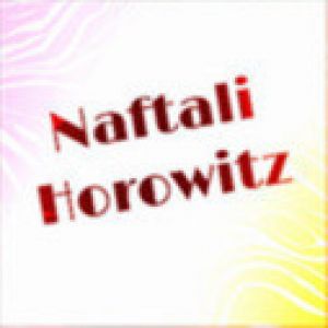 Naftali Horowitz Appraiser