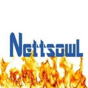 Nettsowl