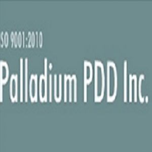 Palladium Product Development & Design