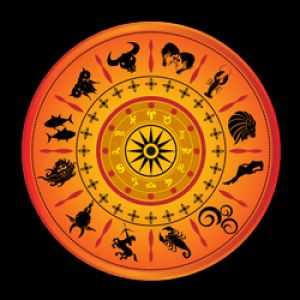 Astrologer Swami Ji