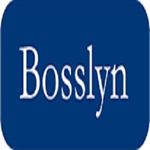 Guangzhou Bosslyn Electric Co. Ltd