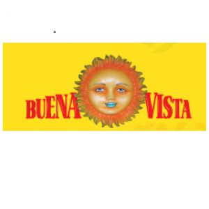 Buena Vista Publishing LLC