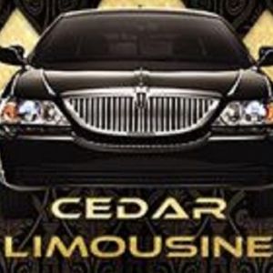 Cedar Valley Limousine