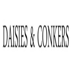 Daisies and Conkers