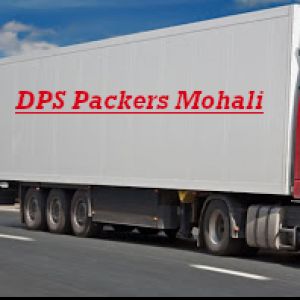 dpspackers