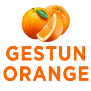 Gestun Orange