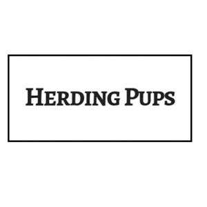 Herding Pups