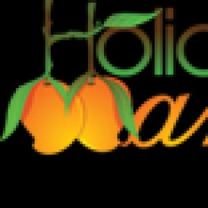 Holiday Mango Travel Solutions Pvt Ltd
