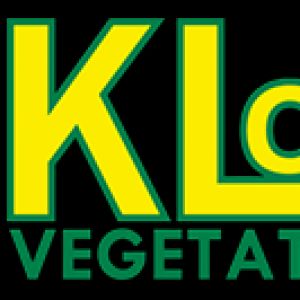 Klon Services Ltd