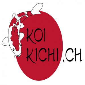 koikichi.ch