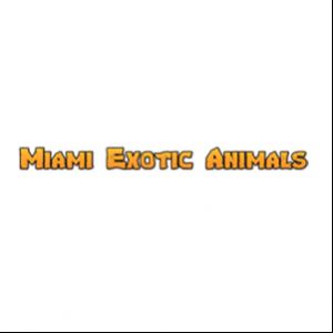 Miami Exotic Animals