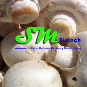Mushroom Machines