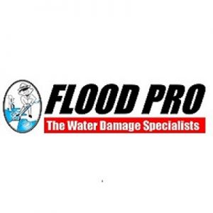 Flood Pro