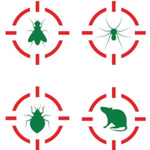 Pest Control Augusta