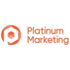 Platinum Web Design