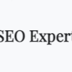 SEO Expert Agency
