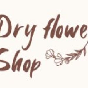 dryflowershop