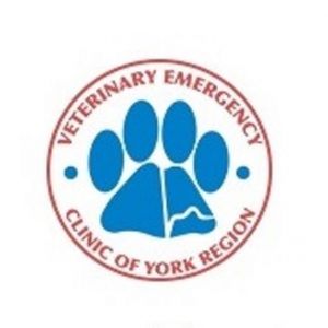 Veterinary Emergency